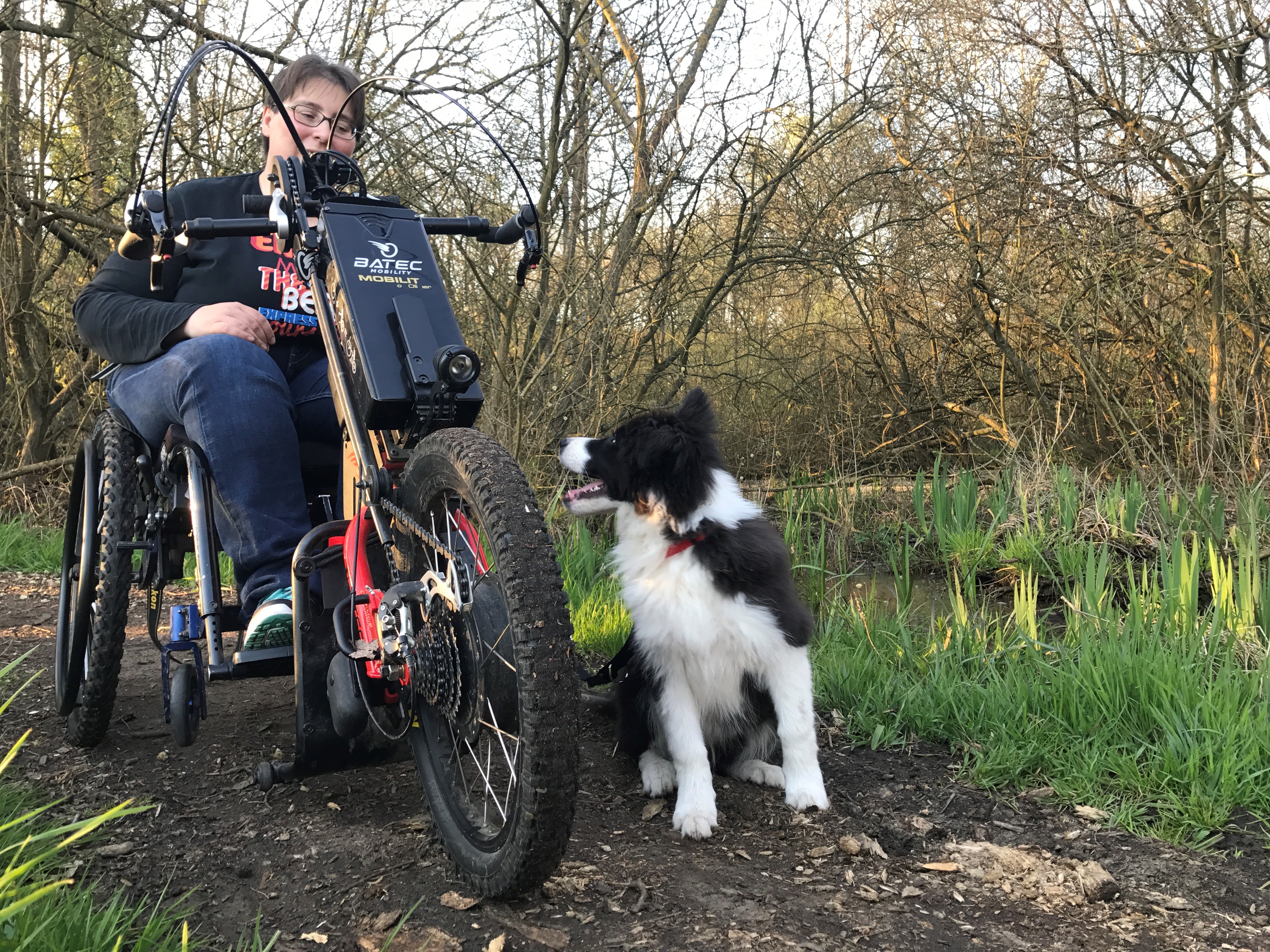 Mobiliteitshulpmiddelen